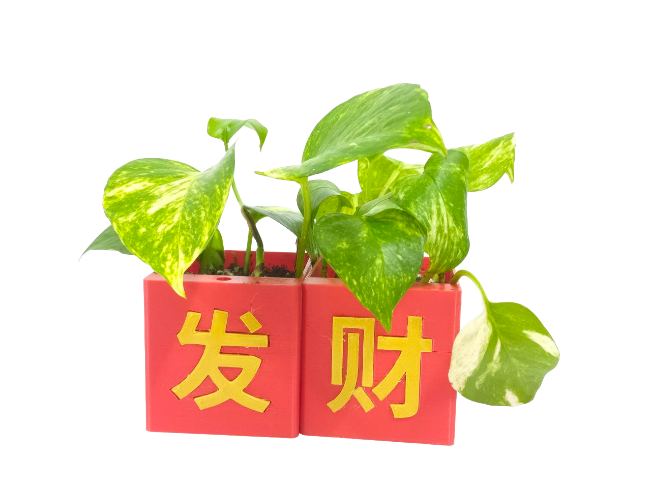 Customised Chinese New Year (CNY) Self-watering Flower Pot