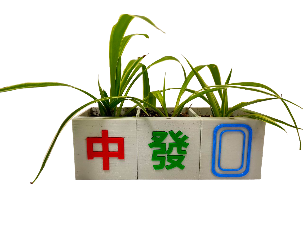 Customised Chinese New Year (CNY) Self-watering Flower Pot